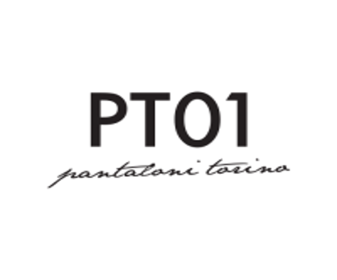 PT01