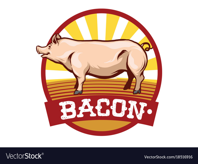 Bacon