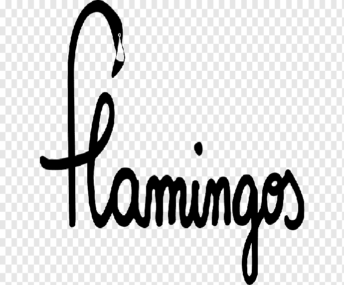 Flamingos