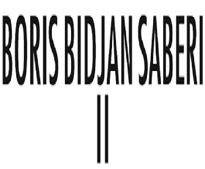 Boris Bidjan Saberi